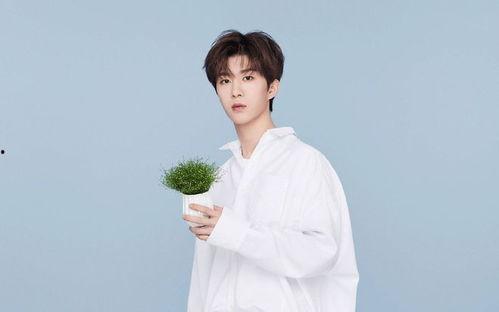 爆料博主范丞丞视频下载,揭秘爆料博主独家内容  第3张